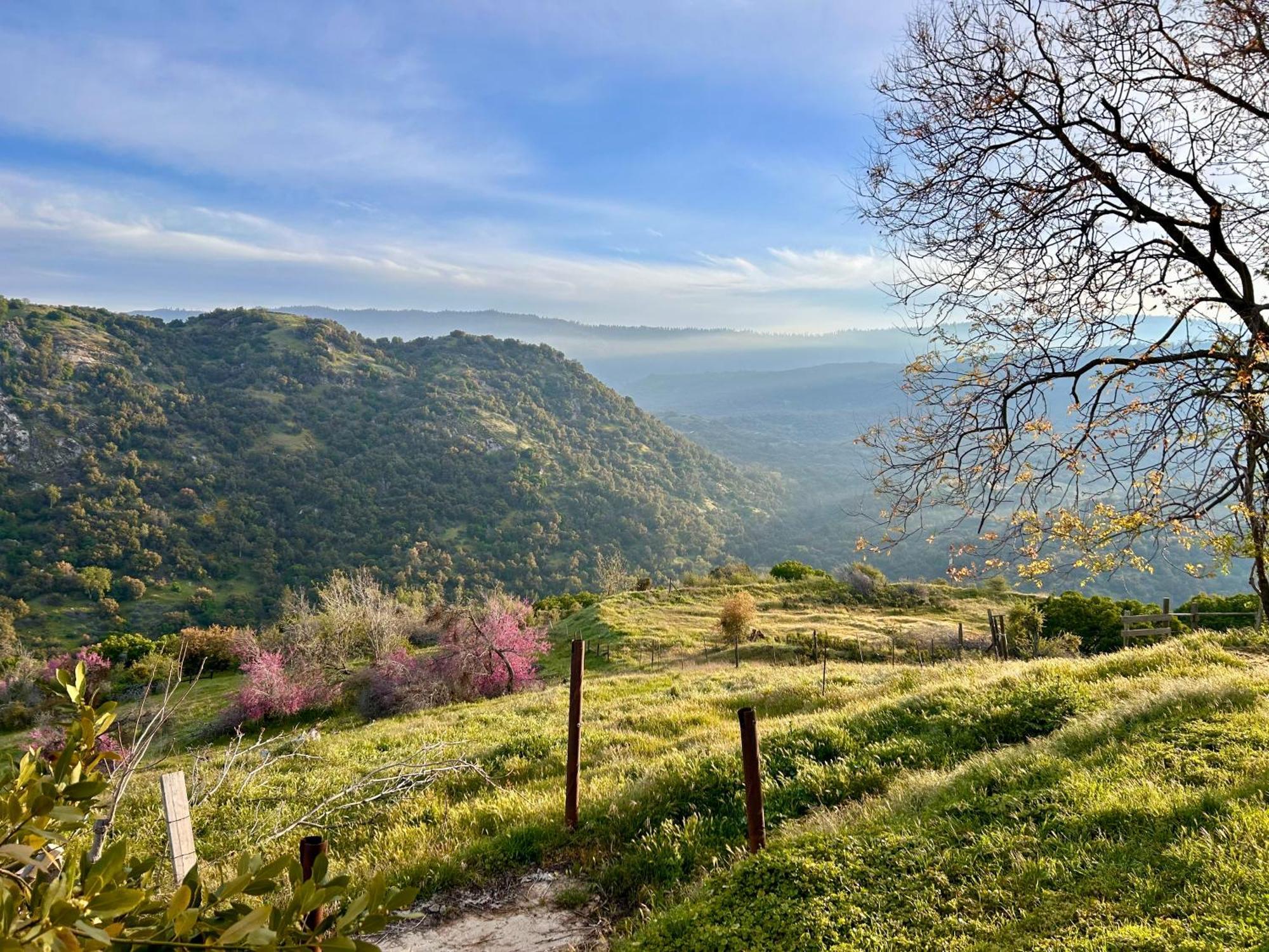 Вілла Mystic Mountain Retreat Miramonte Екстер'єр фото